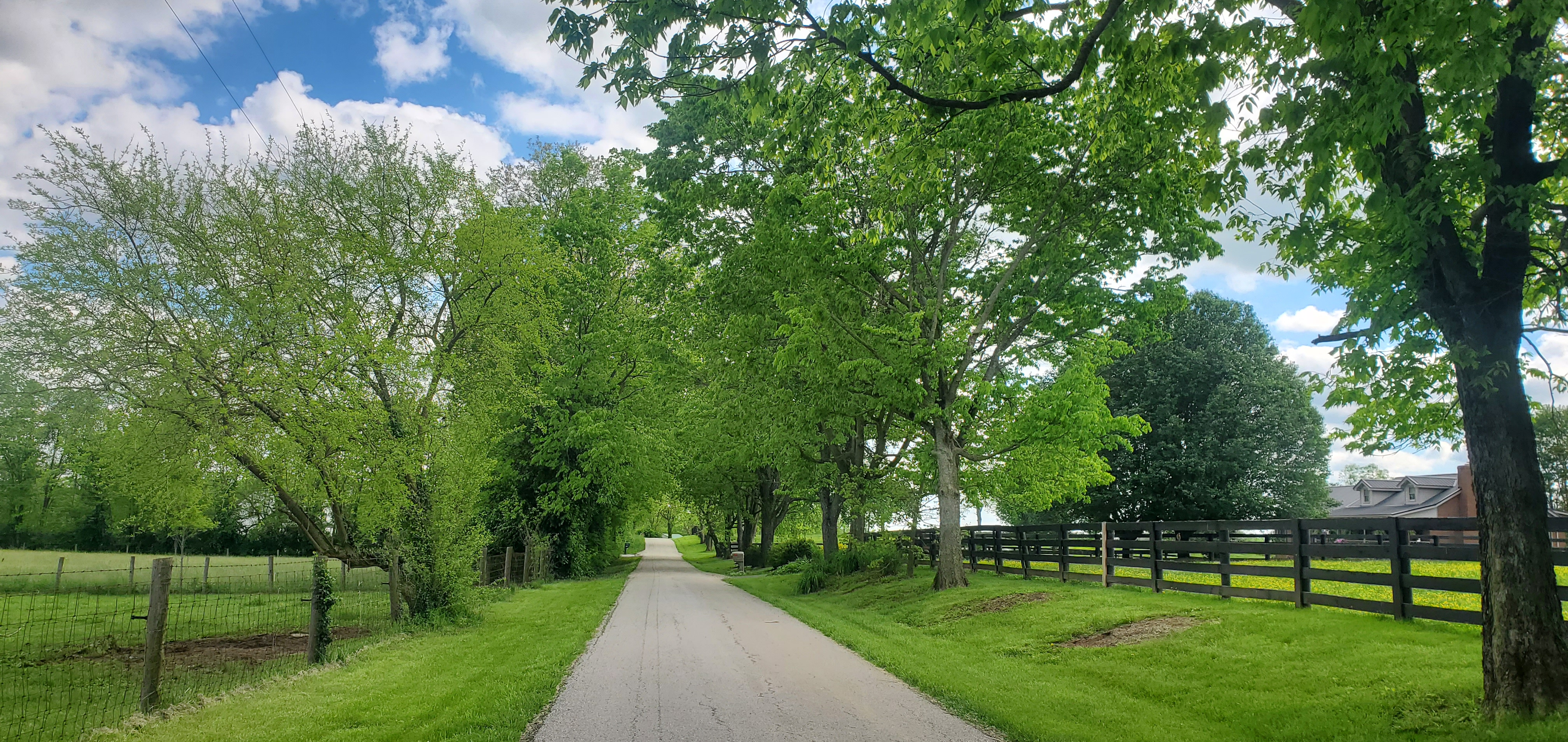 image of paved, country road
